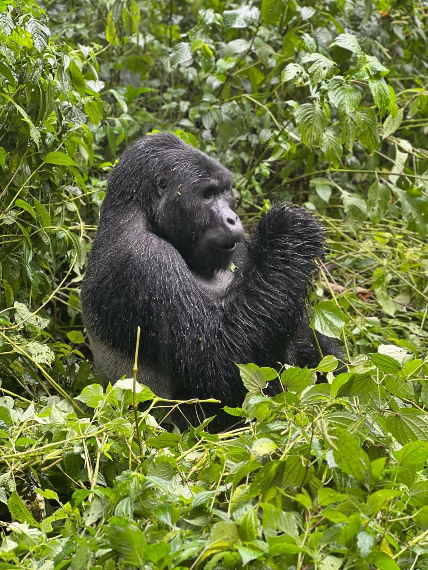 Om Hostel Bunyonyi Kabale Eksteriør bilde