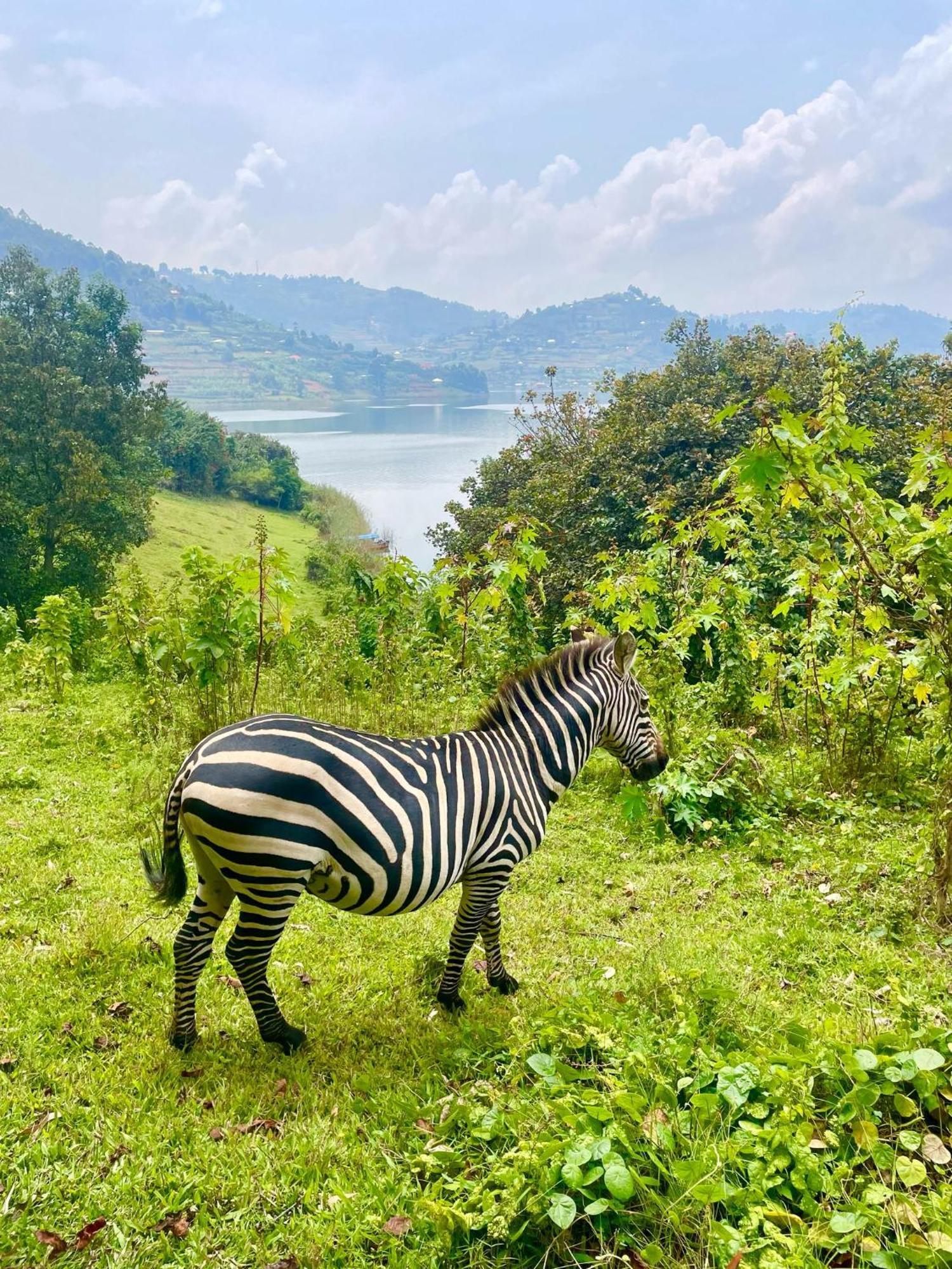 Om Hostel Bunyonyi Kabale Eksteriør bilde